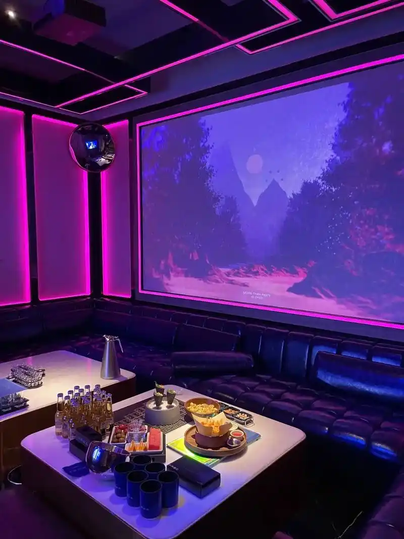 崇左商务ktv怎么玩尽享尊贵体验-天等县ktv预订